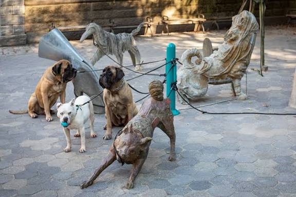 New breed of dog in Central Park